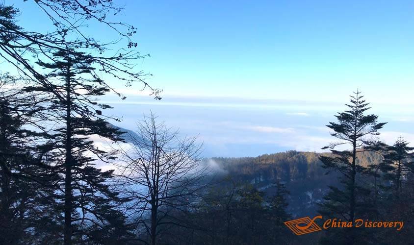Mount Emei Hiking Leshan & Mount Emei Tour