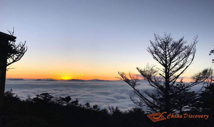 Mount Emei's Sunset Leshan & Mount Emei Tour