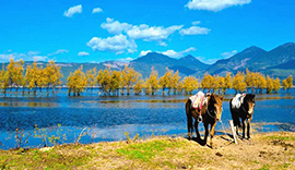 Lijiang Travel Stories