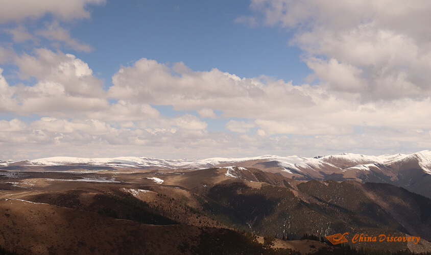 Lily's 5 Days Memorable Daocheng Yading Tour from Chengdu