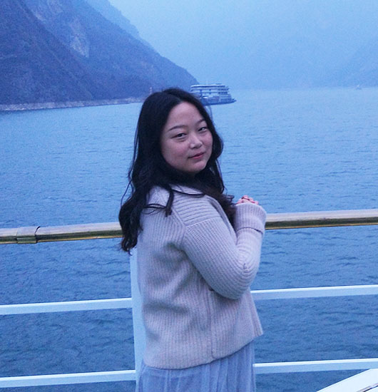 Travel Consultant