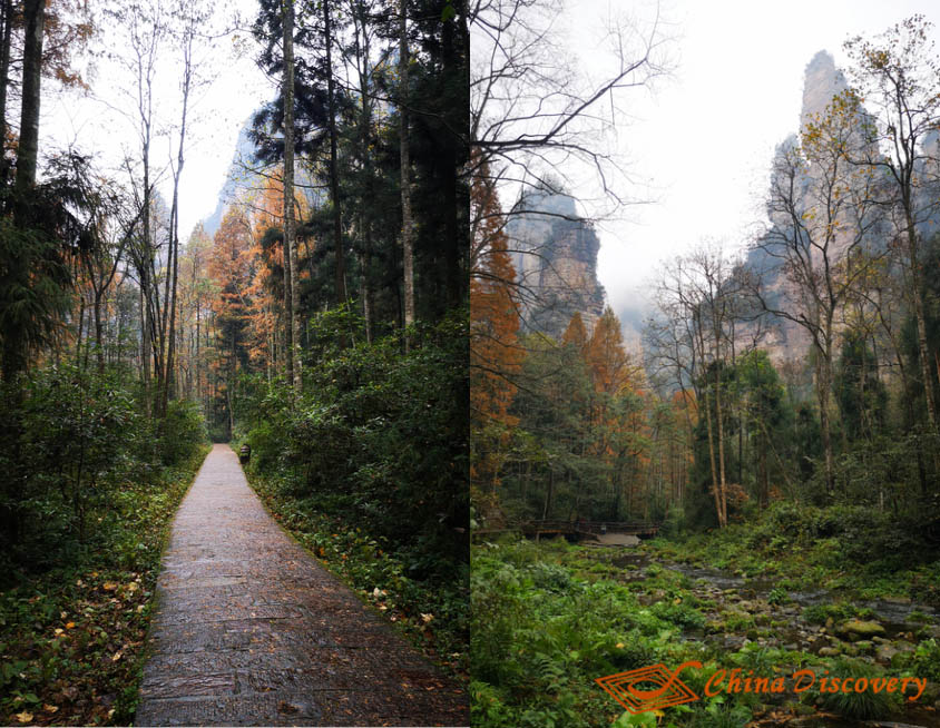 Five Days Zhangjiajie Fenghuang Trip Story