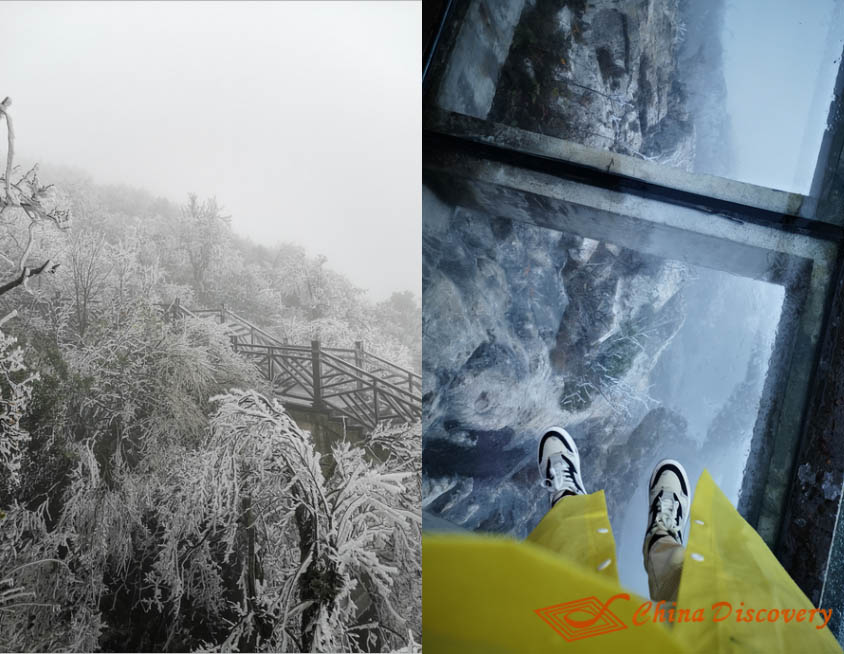 Embarking Victoria Selina Five Days Zhangjiajie Fenghuang Trip Story