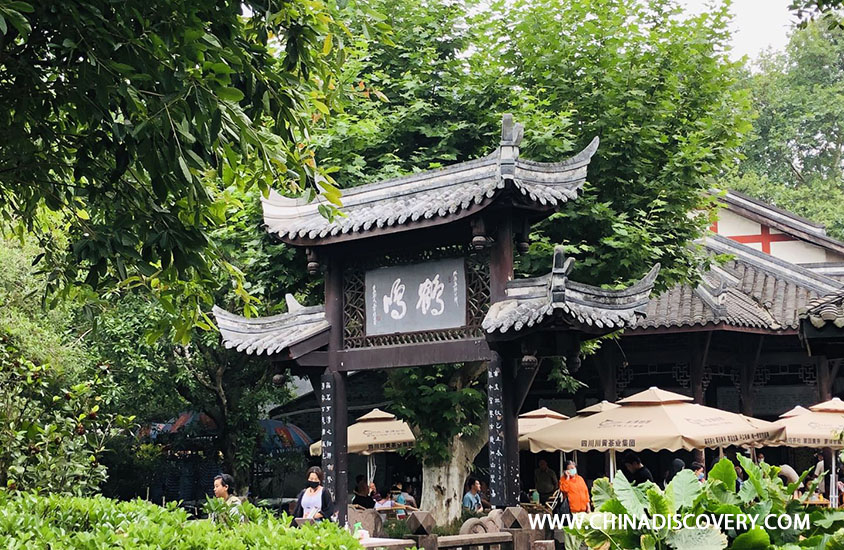 Travel with Mark: One Day Chengdu Tour with Panda Base