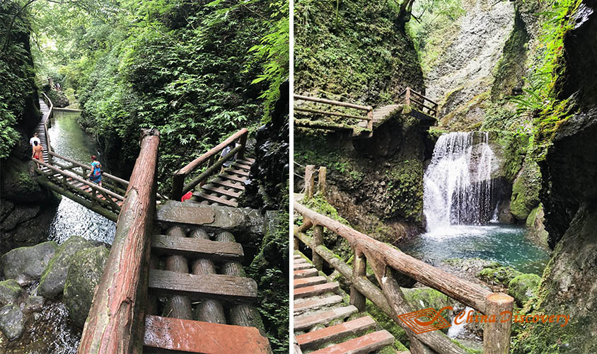 Dujiangyan Mount Qingcheng Hiking Day Tour