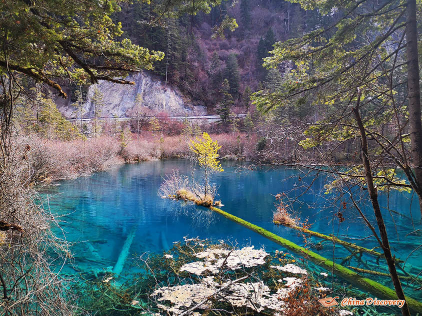 Jiuzhaigou Trip