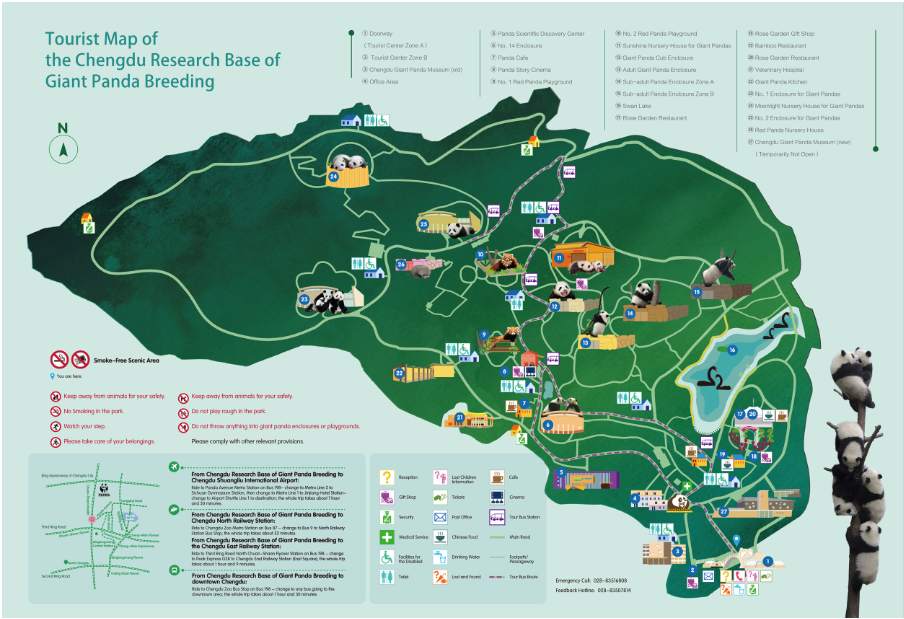 Chengdu Panda Base Tourist Map Panda Base Tour