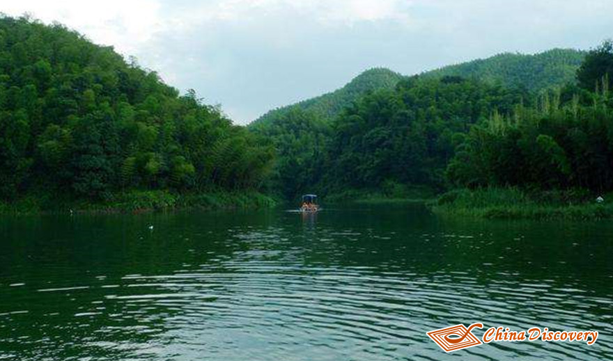 Shunan Bamboo Forest Tour