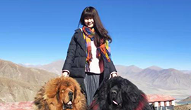 Tibet Travel Stories