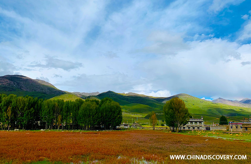 Daocheng Yading Trip