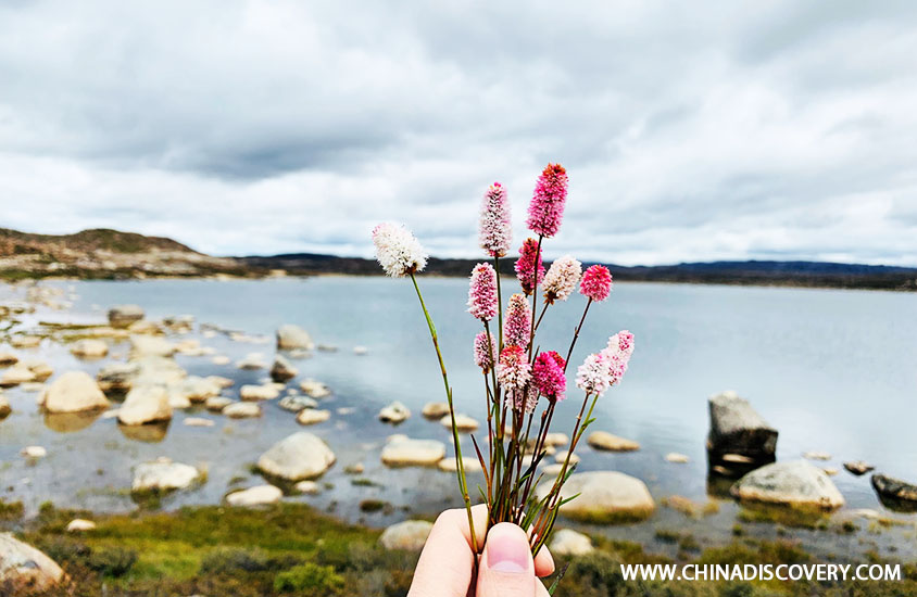 Daocheng Yading Trip