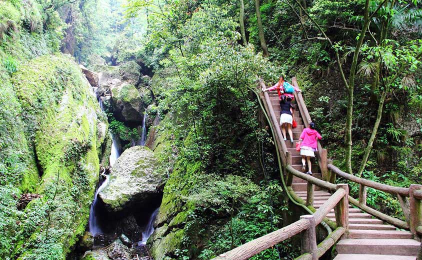 Tracy 1 Day Mount Qingcheng Hiking Tour