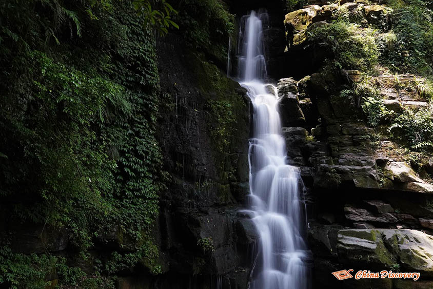 Bifengxia Scenic Spot Map Tracy 2 Days Ya'an Tour from Chengdu