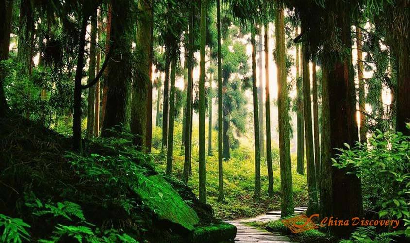 Mount Qingcheng in Summer Mount Qingcheng