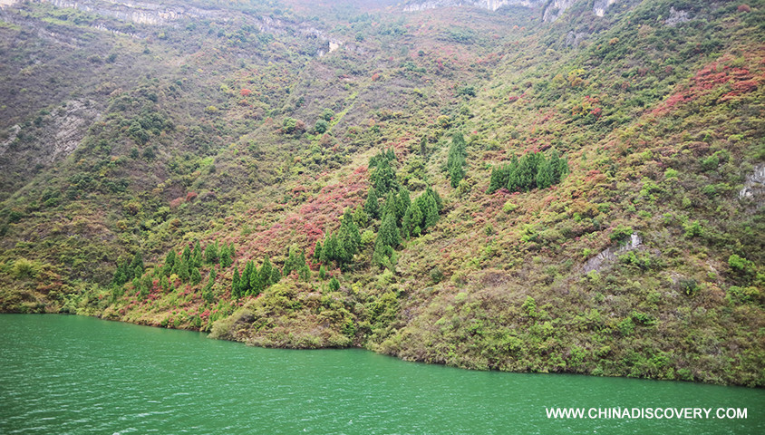Cruise Ship Sailing Through The Gorges Five Days Yangtze River Cruise