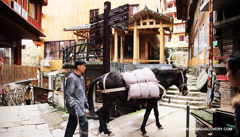 Wandering at Ping'an Guilin Trip Blog