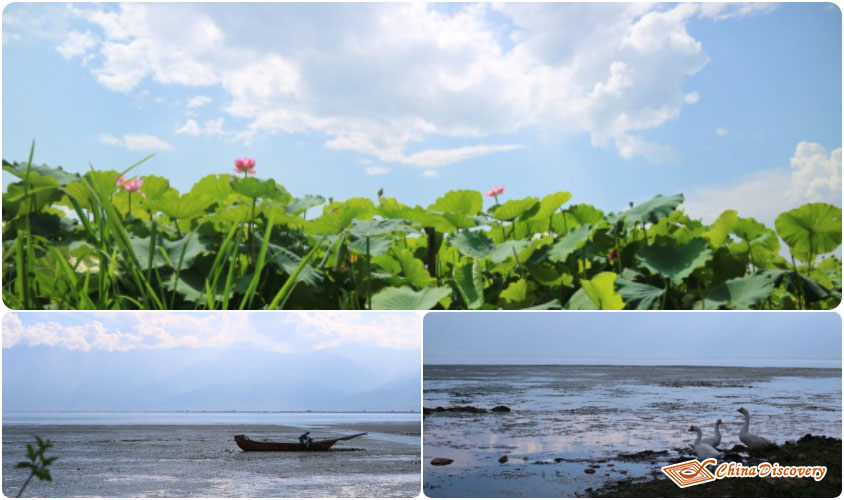 Peaceful Erhai Lakeside with Blooming Flowers Wing Yunnan Tour