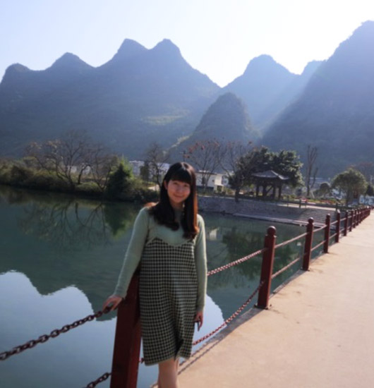 Travel Consultant