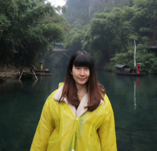 Travel Consultant