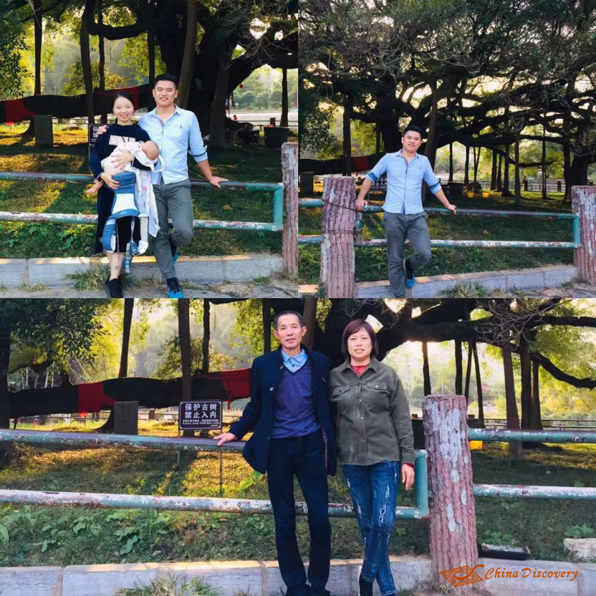 Family Photos with Big Banyan Tree Chengdu to Guilin Trip