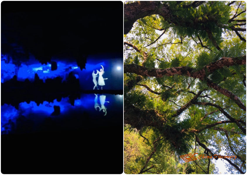 Inside and Outside the Reed Flute Cave Chengdu to Guilin Trip