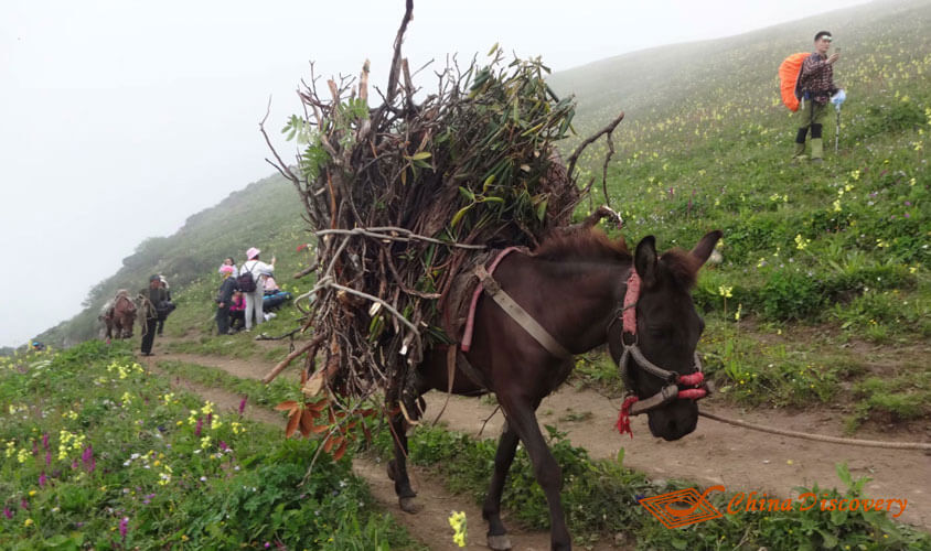 Jiuding Mountain Hiking Tour