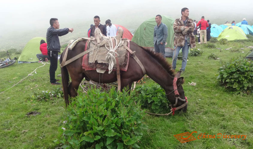 Foggy Weather Jiuding Mountain Hiking Tour
