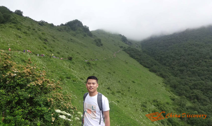 Colorful Wild Flowers in the Jiuding Mountain Jiuding Mountain Hiking Tour