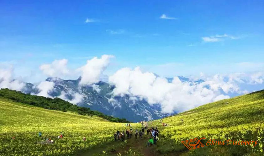 flowers along the road for both sides Jiuding Mountain Hiking Tour
