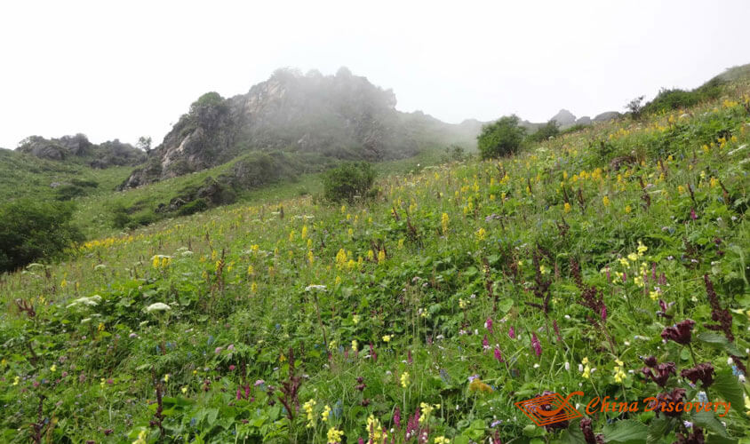 Foggy Weather Jiuding Mountain Hiking Tour