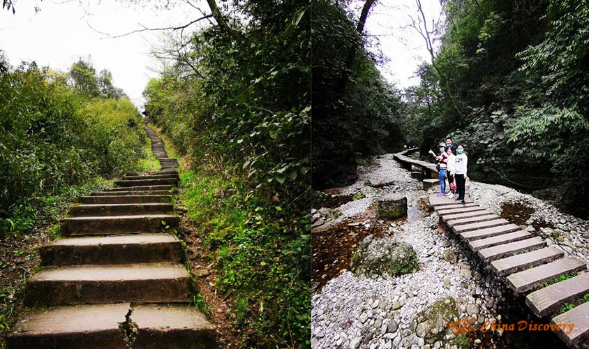 Wonder's 1 Day Mount Qingcheng Hiking Tour (Back Mountain)