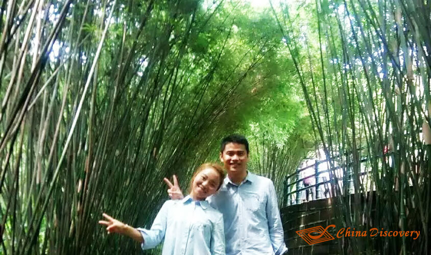 Bamboo Forest on the Way Panda Tour