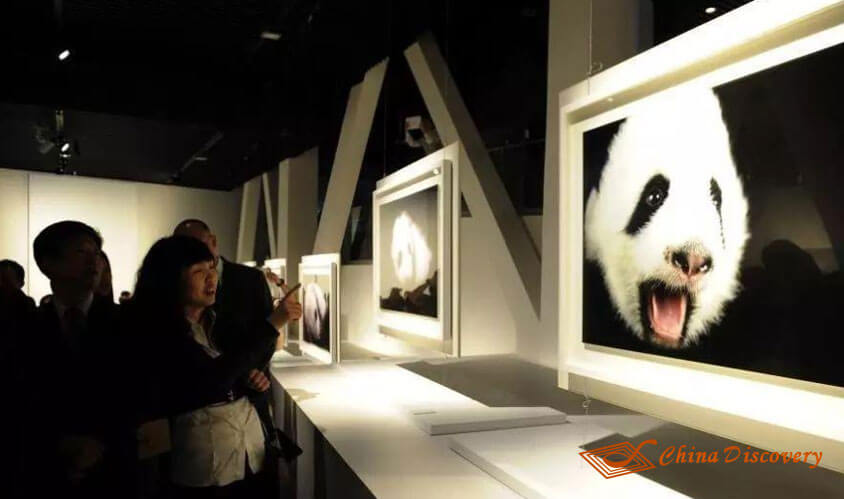 Panda Museum Panda Tour