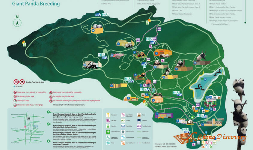 Chengdu Panda Base Tourist Map Panda Tour