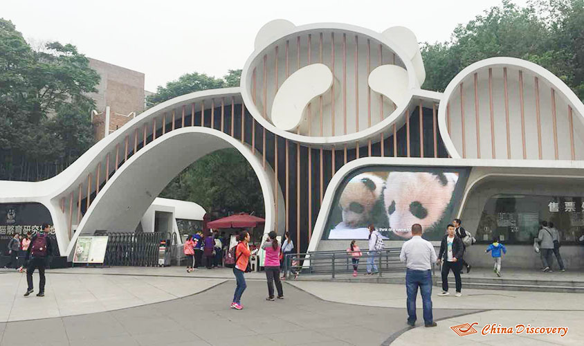 Yanny 1 Day Chengdu Panda Base Tour