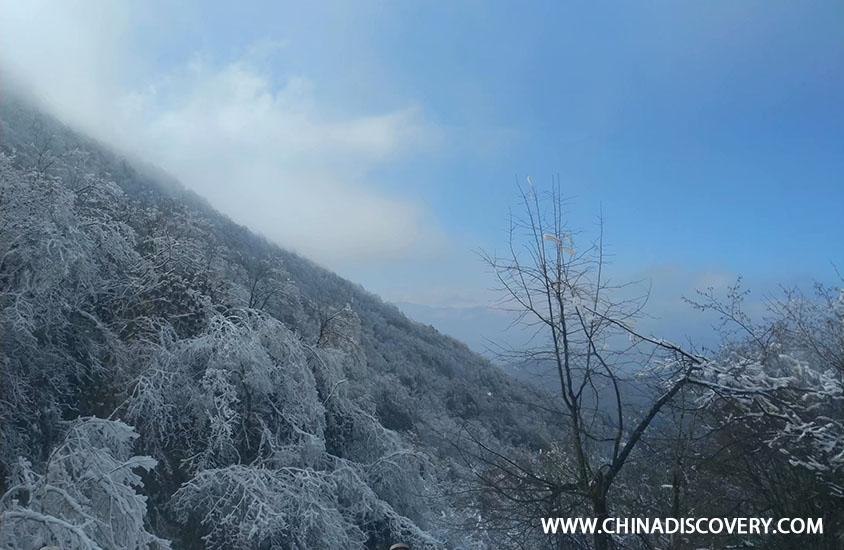 Mount Emei Travel Blog