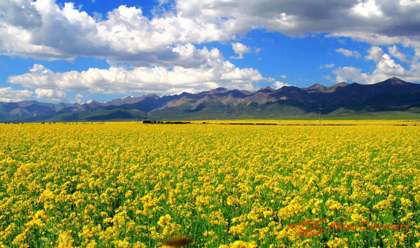 Qinghai Tour