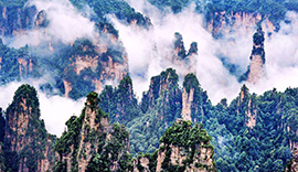 Zhangjiajie Travel Stories