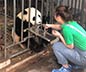 Panda Volunteer Trip