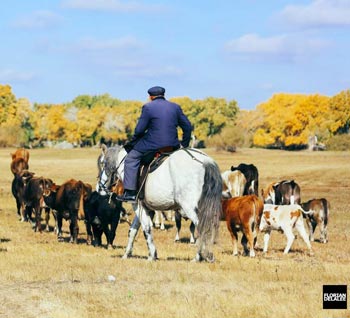 9 Days Memorable Fabulous Xinjiang Photography Trip in 2020