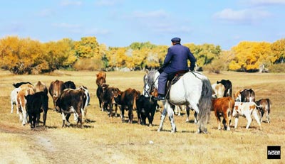 9 Days Memorable Fabulous Xinjiang Photography Trip in 2020