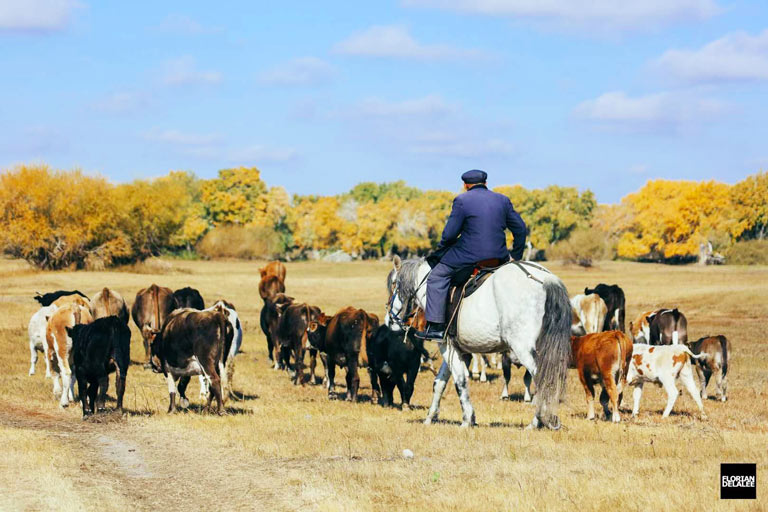 China Trip - Xinjiang