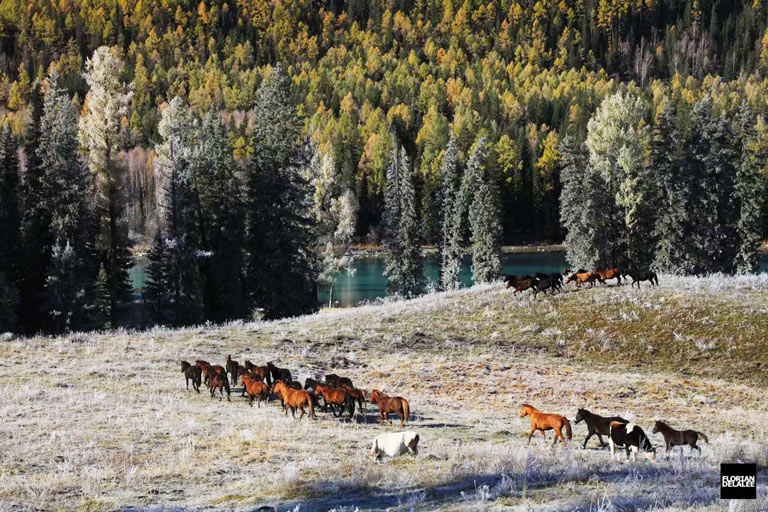 China Trip - Xinjiang