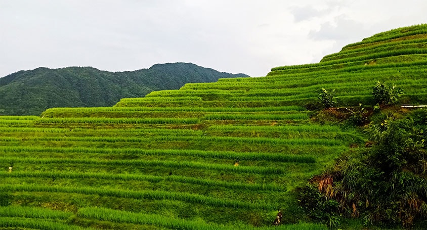 James's 4 Days Guilin Trip