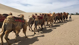 China Desert Tours