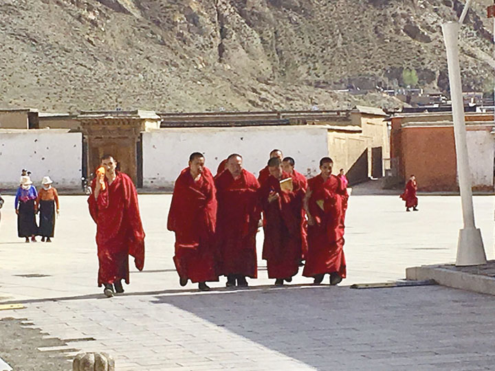 Monks Discussing Buddhism Together, Photo Shared by Monica, Tour Customized by Leo