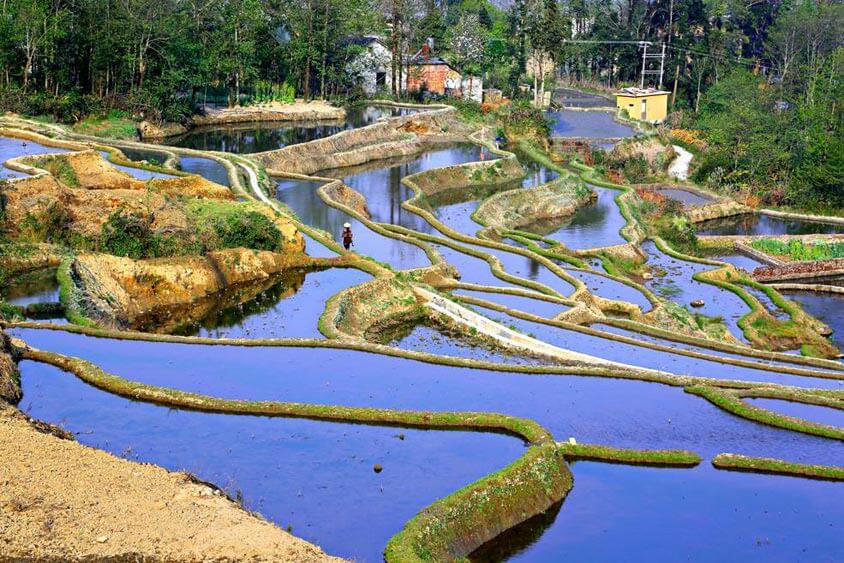 China Trip - Yuanyang Rice Terraces