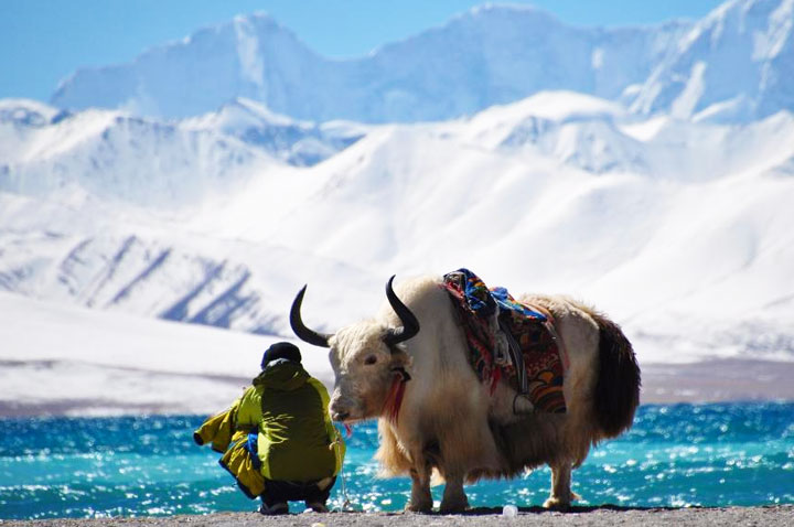 Namtso Lake Tour