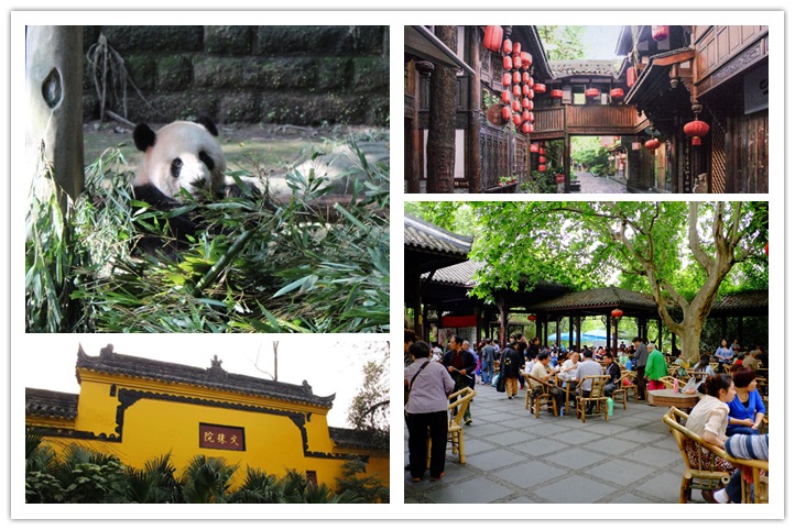 Chengdu Tour