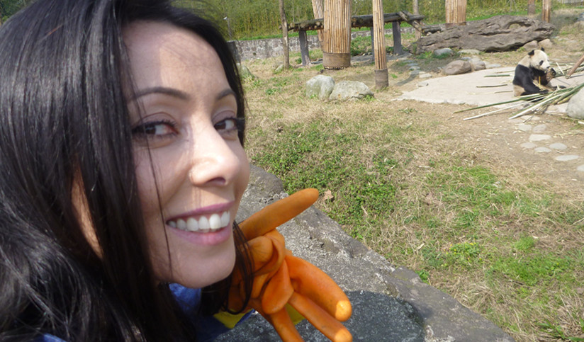 Rachel's Dujiangyan Panda Volunteer Program